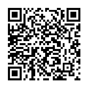 这里面居然混着个穿着打扮完全换了个样的叶仙鸢二维码生成