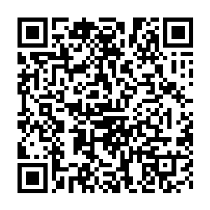 这里面所蕴含的能量可是能够和百万年的人参还有雪莲相提并论的二维码生成