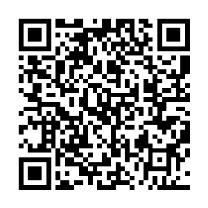 这里面的天地元气的精纯程度要比外面的天地元气精纯的多二维码生成