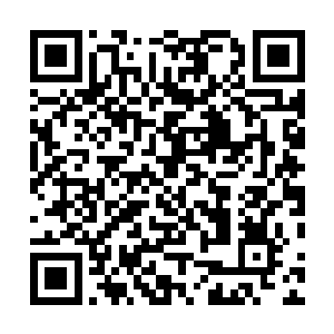 这里面的所有的药材都已经彻底的被元辰收获或者移植了二维码生成