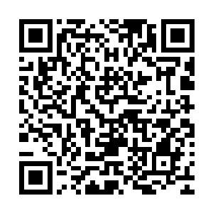 这里面的每一页竟然都是自己和罗卿卿从小到大在一起的痕迹二维码生成