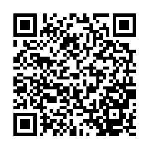 这里面系统讲就是跟一道阳灵建立起那种共存共亡的关系二维码生成