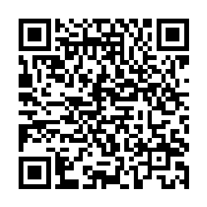 这金姨娘那副柔弱小白花的模样和夫人真是相得益章二维码生成