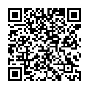 这金翅大鹏鸟竟然便已经穿越了大半个南瞻部洲和无尽北海二维码生成