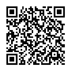 这金色的果子赫然是从菩提空间之中得到的宝物之一二维码生成