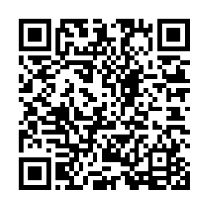 这银色飞船却正是罗刹界血刹和罗天两位至尊瞒天过海二维码生成