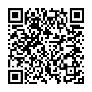 这门绝技威力不弱于碧落谷内门三大绝学任何一种二维码生成