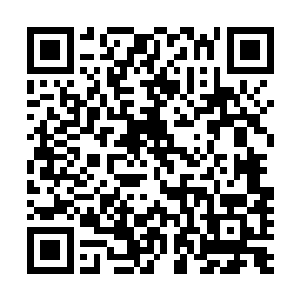 这问的自然是折袖如何猜到她会借用墓园里的这具尸体复活二维码生成