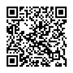 这防御阵乃是万年前根据圣君大人留下来的图纸所设计的二维码生成