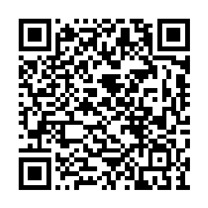 这院子和之前孙子轩住过的小院儿没有什么区别二维码生成