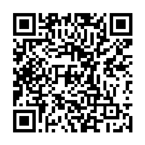 这隐世大陆确实要比外面的中元星系高出一个等级二维码生成