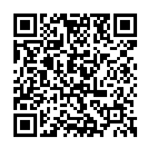 这难道就是大长老沉睡两万年不愿意出来的原因二维码生成