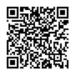 这雷虎和雷鸟竟然仿佛无视了那斗转星移所形成的漩涡一样二维码生成