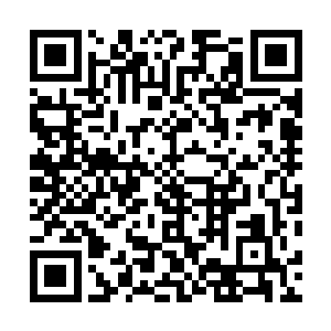 这雷霆黑龙的实力大约和我用出焚天帝尊指的威力差不多二维码生成