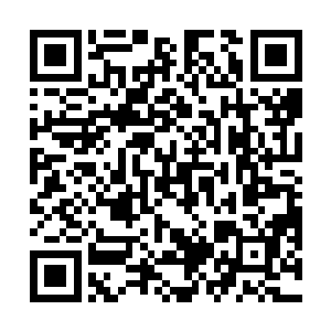 这震天的欢呼声将更多的仙王期弟子的目光吸引了过来二维码生成