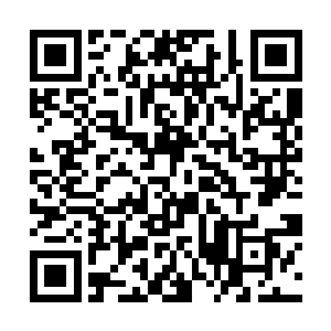 这霍顿实际上并不如他口头上所说的那样是想要报仇二维码生成