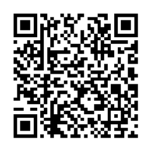 这青年男子正在小心翼翼的修剪着面前的一株花朵二维码生成