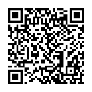 这青色的火焰看上去不如青色的火焰那般的灼热二维码生成