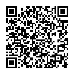 这青面恶鬼的厉害程度绝对比之邪修施展的任何一种功法的威力都要大得多二维码生成