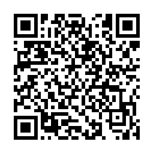 这靖南的小知县绝非江门主他们所言毛都没长齐的小崽子二维码生成