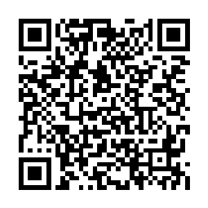 这韩风现在都已经领悟出了这么强大的圣域绝学二维码生成