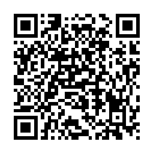 这项产品最初被NASA和一些医疗研究机构作为数据交互设备使用二维码生成