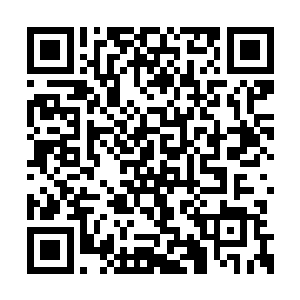 这项工作就交给自己的无相不灭神火分身去做了二维码生成