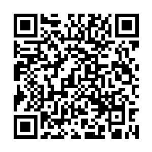 这项工作提到了与蓝岛发展生死攸关的地步上来了二维码生成