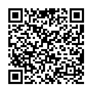 这颗原能弹原本透明的弹头内出现了朦朦的雾气二维码生成