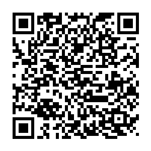 这颗变异圣果你留着等你的修为达到九天玄仙后期巅峰的时候再服食二维码生成