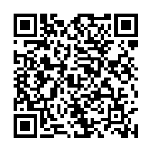 这颗小树就能生长出一颗能让自己增加力量的果实二维码生成