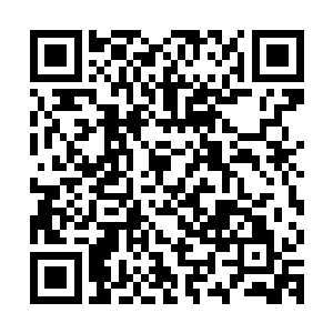 这颗小树现在已经成为张铁在这个时代打拼下去最大信心的来源二维码生成