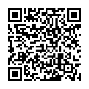 这颗珠子是他从地宫内那位和尚的头颅之中找到的二维码生成