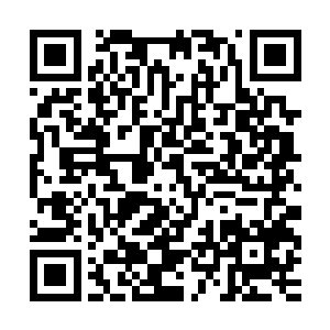 这颗石头正是当初光明圣师工会会长送给他的那三颗玉焚石之一二维码生成