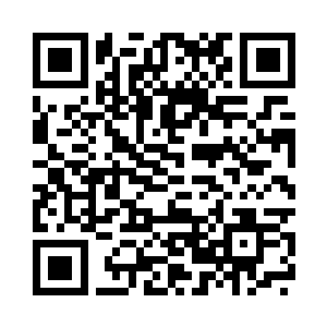 这颗神秘的树苗会长出什么东西来二维码生成