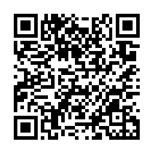 这飞禽走兽却个个血肉筋骨之内都蕴藏浑厚的仙元二维码生成