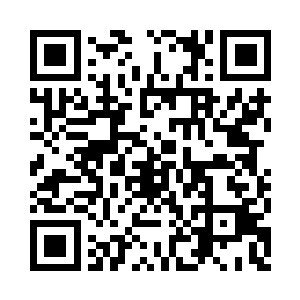 这食物显然是经过炼化提炼之后的食物二维码生成