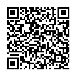这首歌的震撼冲击远比外面的寻常观众要大的多二维码生成