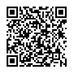 这驼背老者浑浊的目光漫不经心的从楚暮等人脸上一掠而过二维码生成