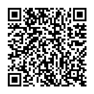 这骤然听到穆元长老说张家居然可以在太夏幽州金海城中入上一股二维码生成