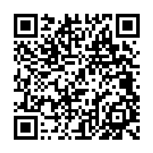 这鬼柔儿尽管其美貌是仅次于邪云雅的绝美女子二维码生成