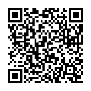 这鬼王令中可是蕴含着属于历任鬼王的强大力量二维码生成