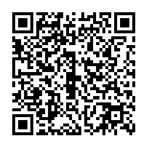 这鬼脸蝎是什么物种死了之后变成的又是吸收了哪一种罪孽的能量变化而成的呢二维码生成