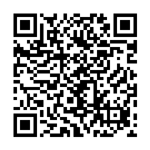 这鬼脸蝎难道是灵物不然的话活物是不可能接触到鬼魂的二维码生成