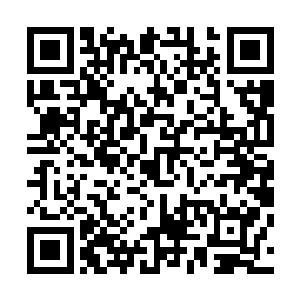 这魂魄天赋不仅可以大大增加你在人界前十八年的生存几率二维码生成