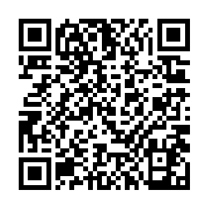 这鸟嘴可是九头圣王一生苦修所凝练出来的最强武器二维码生成