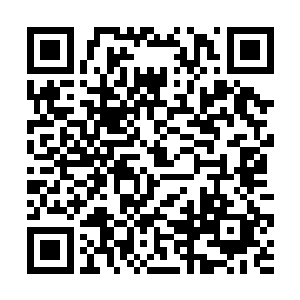 这黑夜老祖的分身似是也还不知道另一处发生的事情二维码生成
