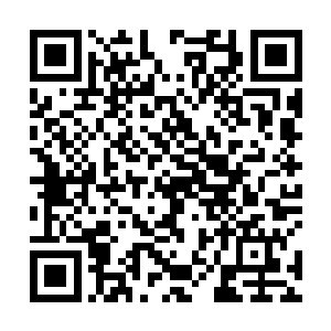 这黑袍中年男子也狠狠按下了控制台中的一个红色按钮二维码生成