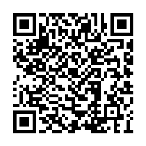 这黑雾竟然以极快的速度融入到了那毒蟒的体内二维码生成