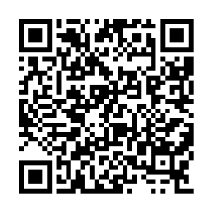 这黑雾虽然跟外界的楚旬等人一样根本无法动弹二维码生成